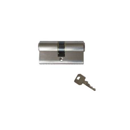 Cylindre européen EXS 1000 2 entrées 30x30 nickelé mat 3 clés
