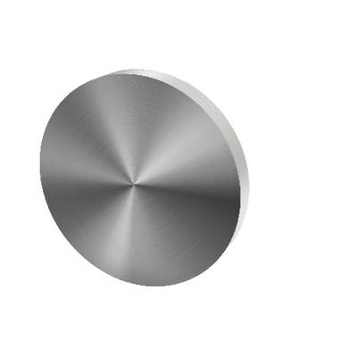 Paire de rosaces pleines D:53 mm série Project,finition inox brossé 304