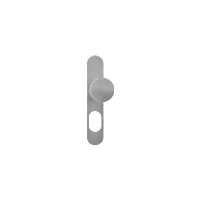 Bouton fixe déporté sur plaque LOGINOX pour cylindre A2P**, inox brossé 304