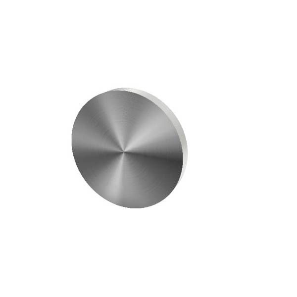 Paire de rosaces pleines D:53 mm série Project,finition  inox brossé 304