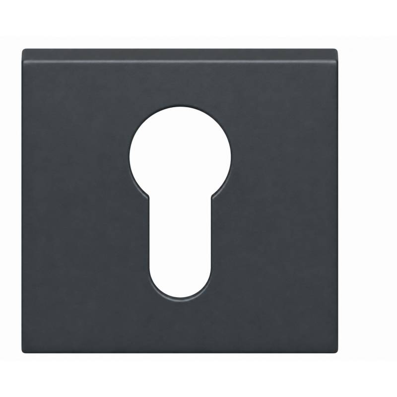 Paire de rosaces carrées clé I (CC6), graphite  mat